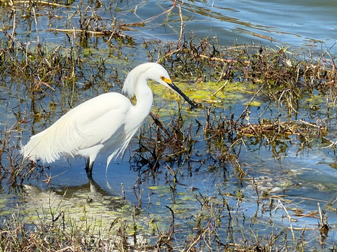 Pond Apple Park-萨尼贝尔岛必去景点