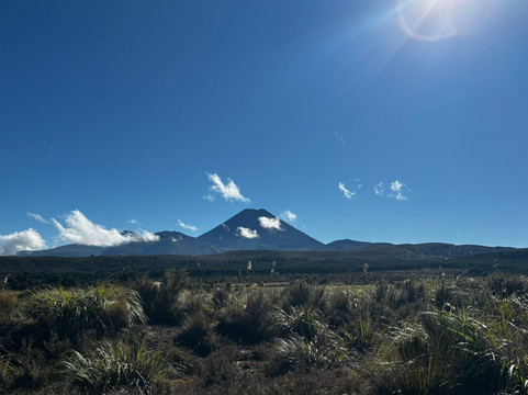 Red Carpet Tours-奥克兰中心地区必去景点