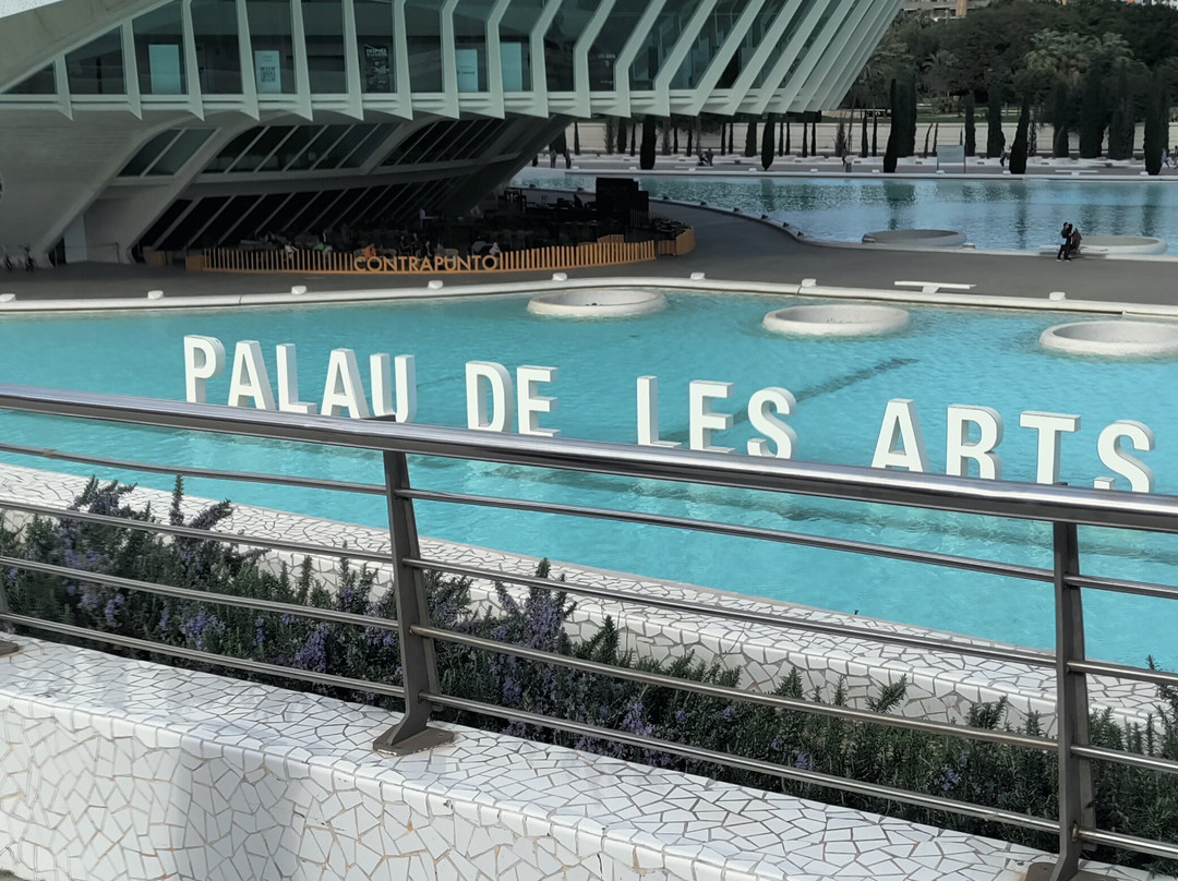 Funkadelia-巴伦西亚必去景点