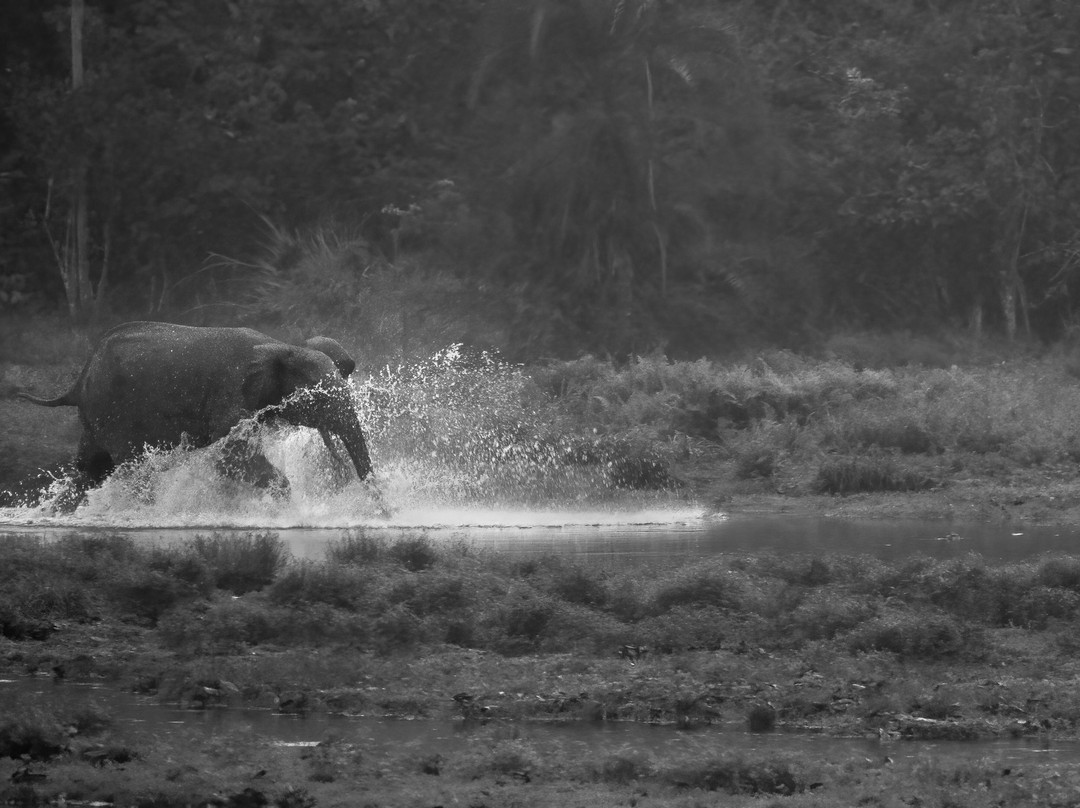 Wild Eye-弗维斯必去景点