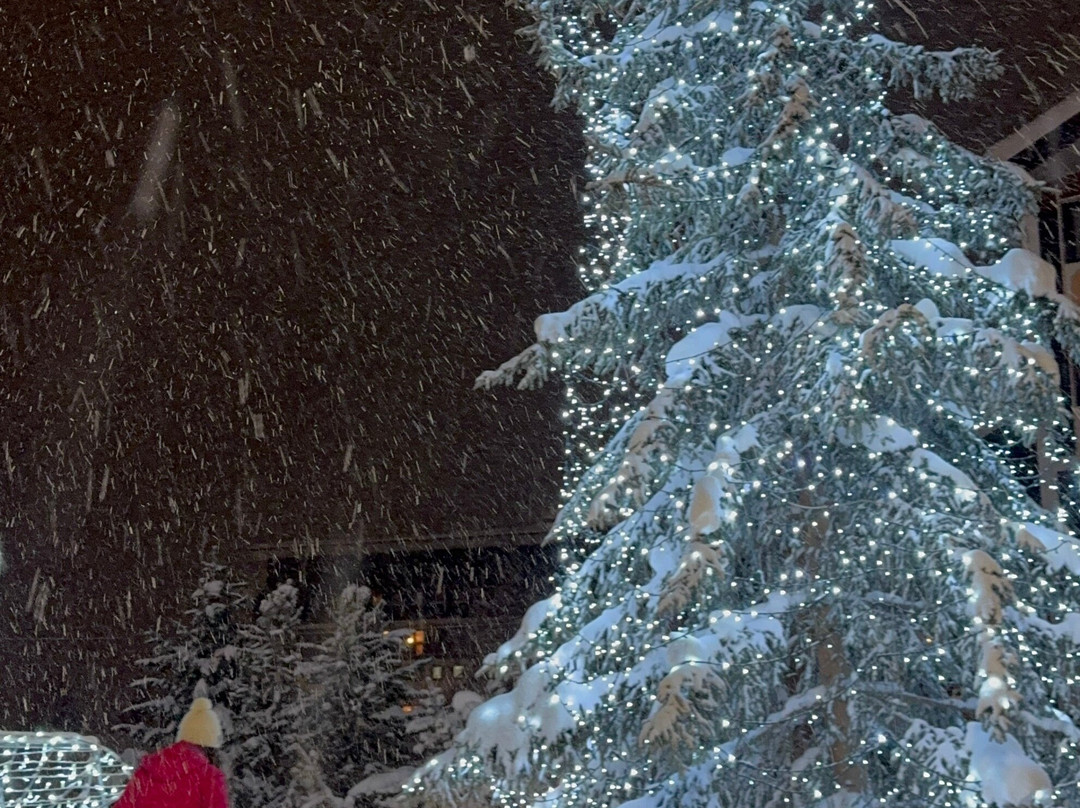 蒙里维酒店主图