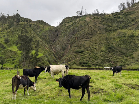 Andean Summit Adventure-基多必去景点
