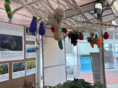 Teshima Ieura Ferry Port-土庄町必去景点