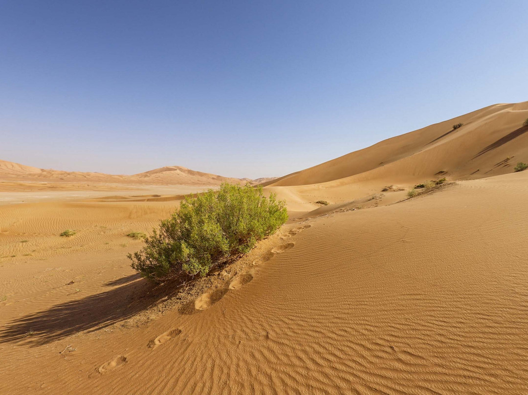 Arabian Sands Tours Oman-塞拉莱必去景点