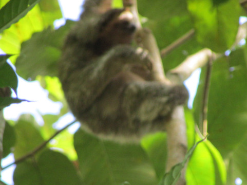 My Costa Rica-圣何塞必去景点