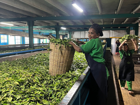 Boutique Sri Lanka-科伦坡必去景点