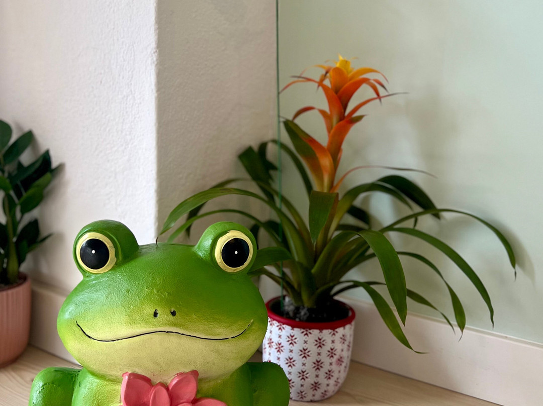 Be Life Thai Massage Spa-Fuseta必去景点