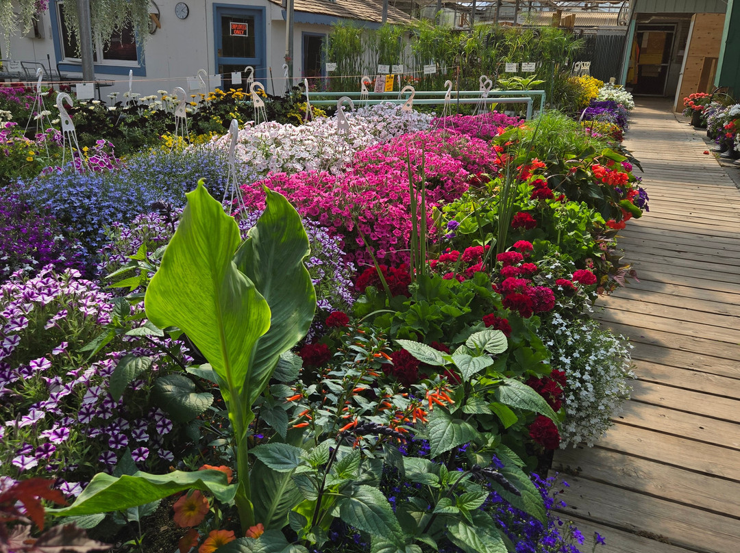 Windmill Garden Centre and Butterfly House-梅迪辛哈特必去景点