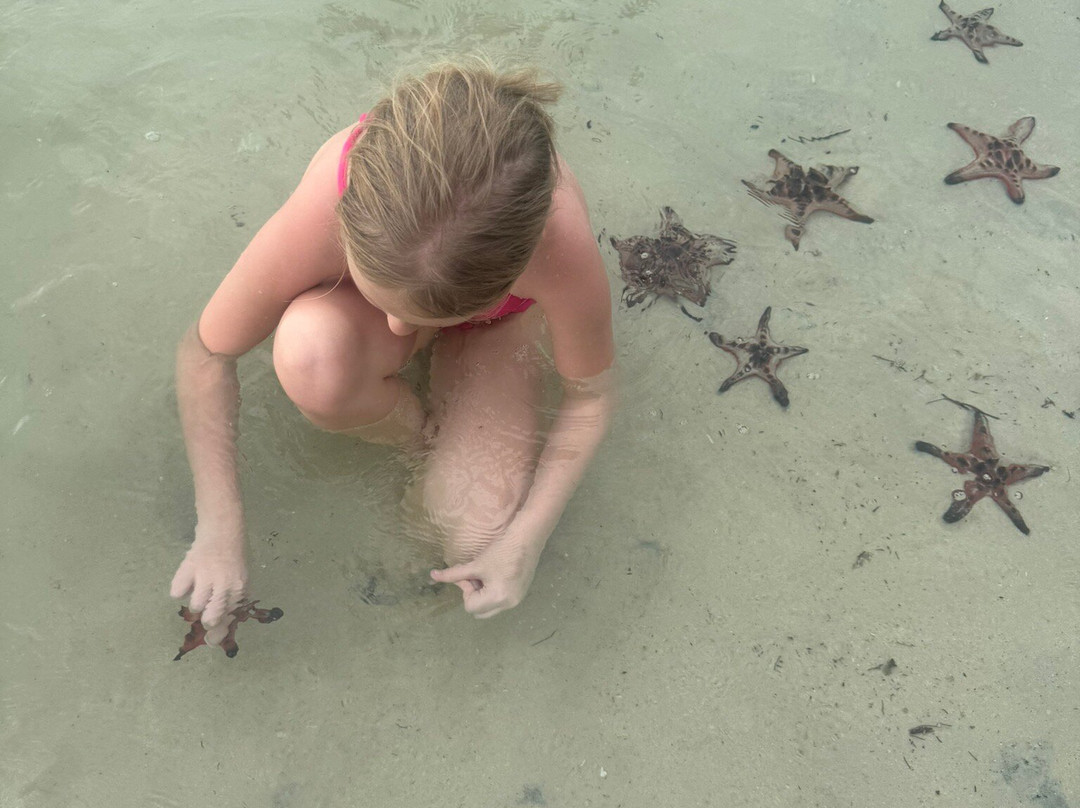 海星沙灘-Ganh Dau必去景点