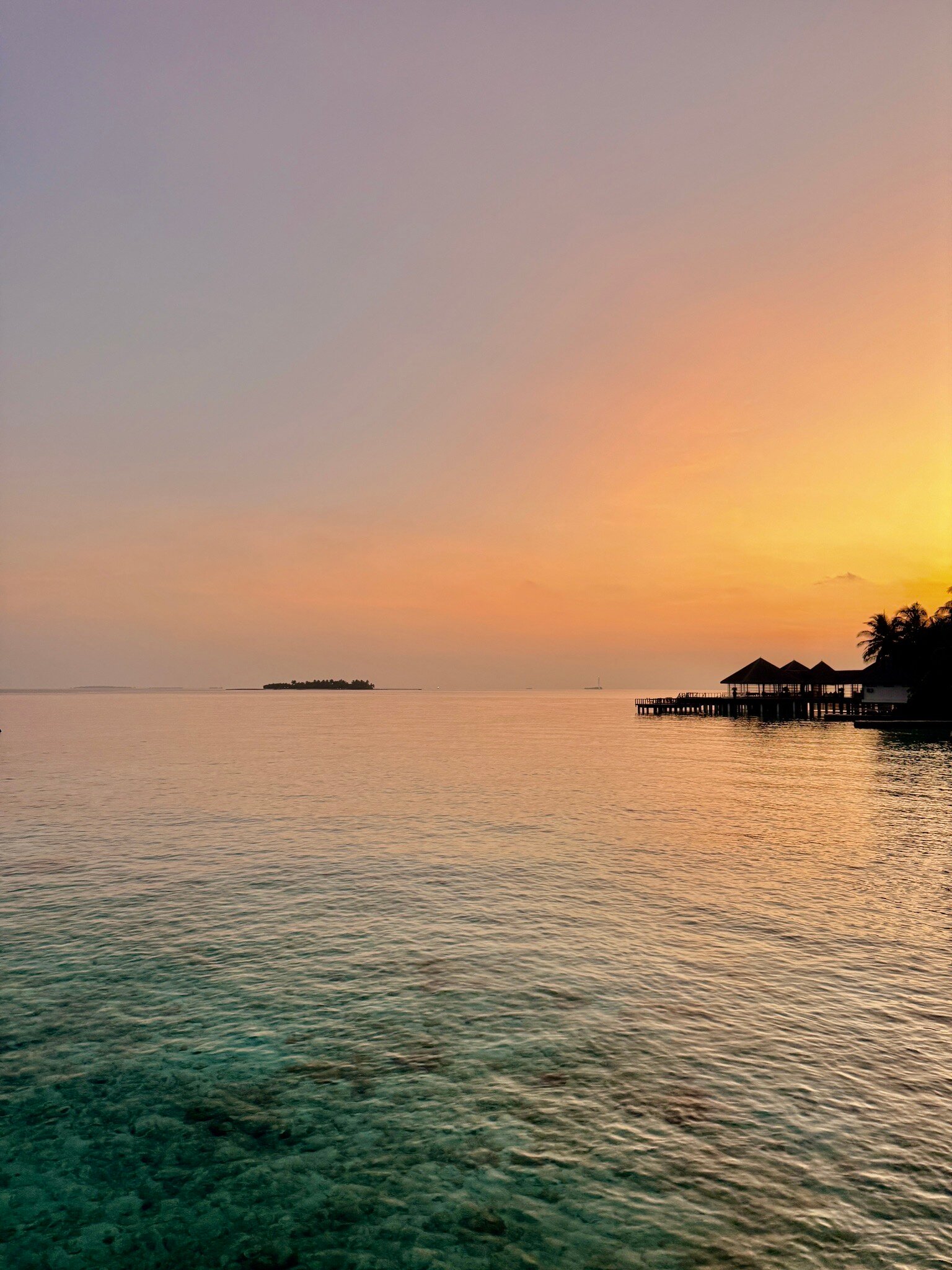 可可棕榈波杜希蒂 - 26.10.31前预订可享5折快艇往返接送-官方