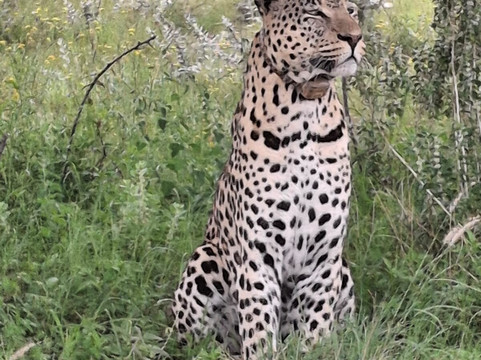 Africat-奥奇瓦龙戈必去景点