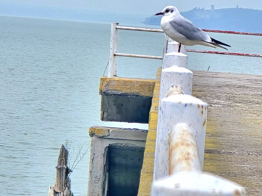 Lungolago-San Feliciano必去景点