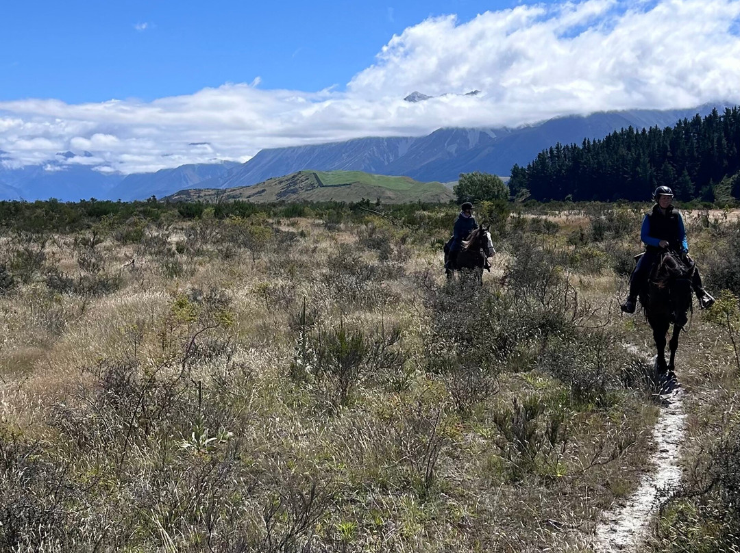 High Country Horse Adventures Lake Coleridge-基督城必去景点