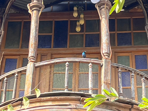 Abdul Harar Tour's-哈勒尔必去景点