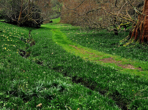 Glendurgan Garden-法尔茅斯必去景点