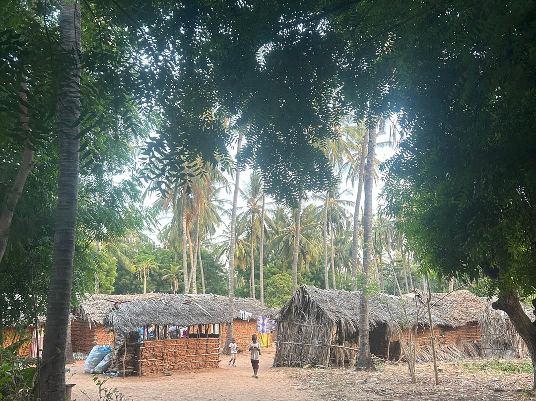 Gattokko - Safari e Tours in Kenya-瓦塔木必去景点