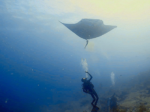 Dune Maldives-胡鲁马累必去景点