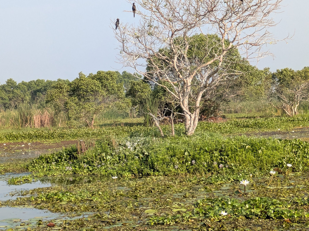 Wildlife Wonders Sri Lanka-唐卡拉必去景点