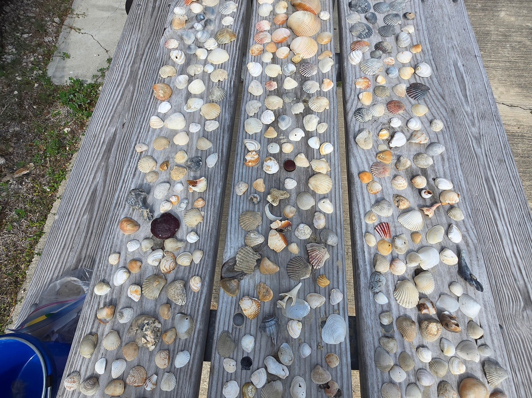 San Jose Island-阿兰瑟斯港必去景点