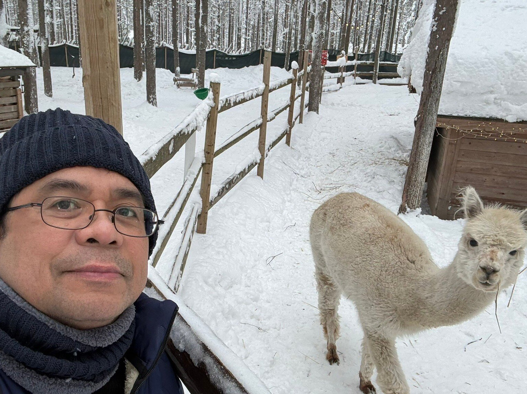 Santa's Pets Tallitontun Piha-罗瓦涅米必去景点