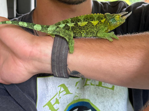 Waipio Valley Shuttle-库库伊哈尔必去景点