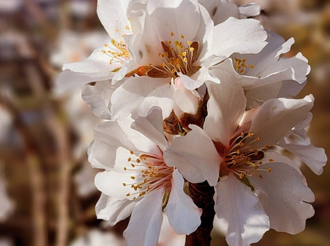 terroir f Churfranken-埃兰巴克必去景点