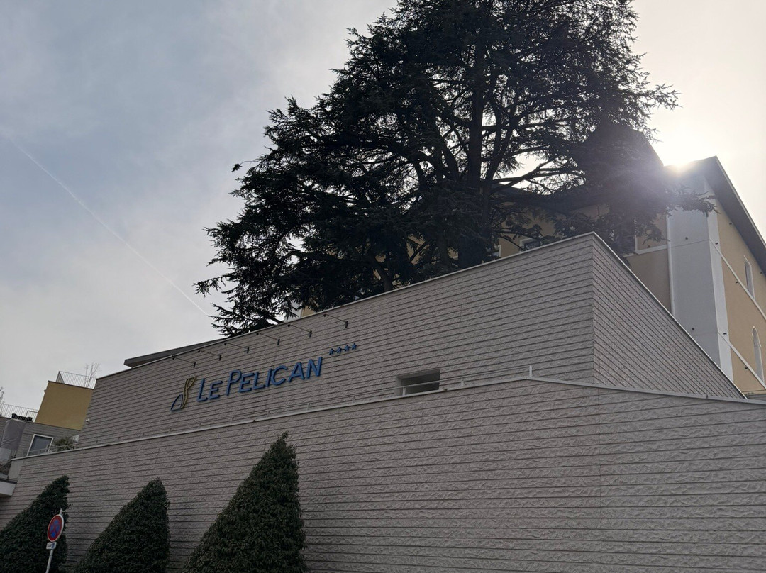 Le Pélican 酒店主图