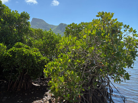 Explore Nou Zil - Electro Bike Discovery-贝尔欧布莱必去景点