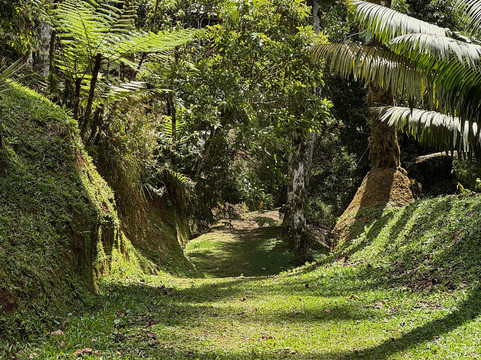 Las Cruces Biological Station and Wilson Botanical Garden-San Vito必去景点
