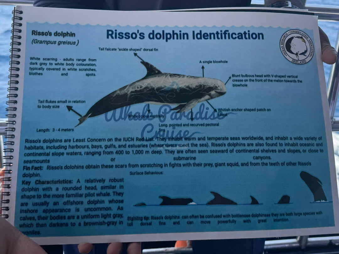 Ceylon Holiday Hub-Ratmalana必去景点