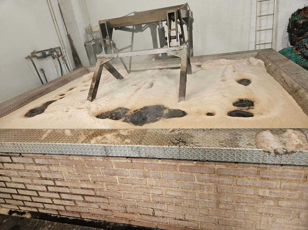 Corticarte - Arte em Cortica-Azaruja必去景点