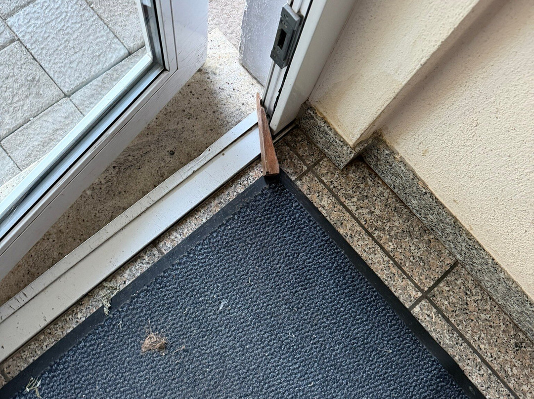 Rebhan's Klassik主图