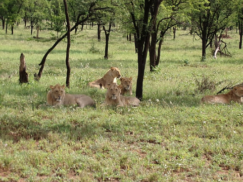 Shanjoy Tours and Safaris-Kikuyu必去景点