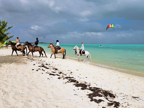 Long Bay Beach-普罗维登西亚莱斯必去景点