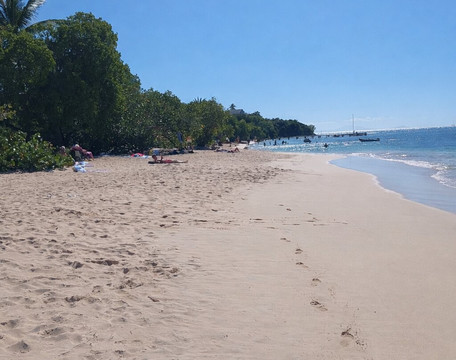 Pigeon Point Beach-英吉利海港必去景点