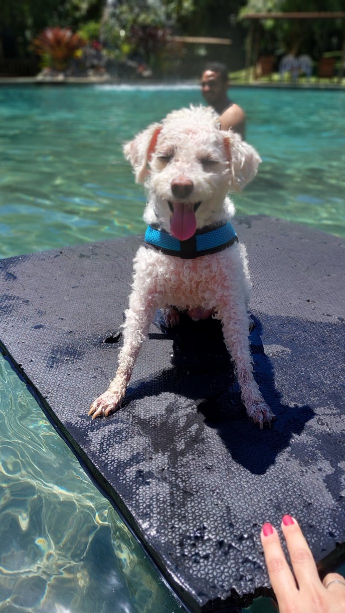 Pousada Gaia Viva-泳池