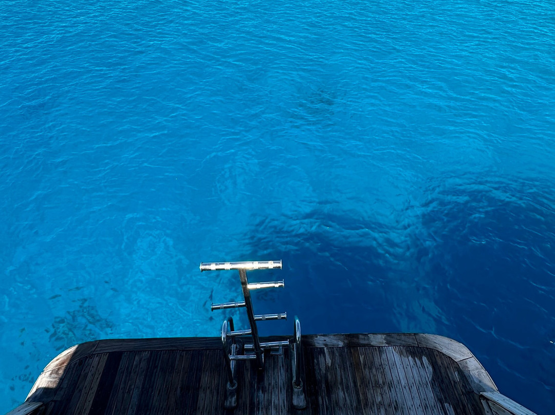 Volkert Dive Center-Safaga必去景点