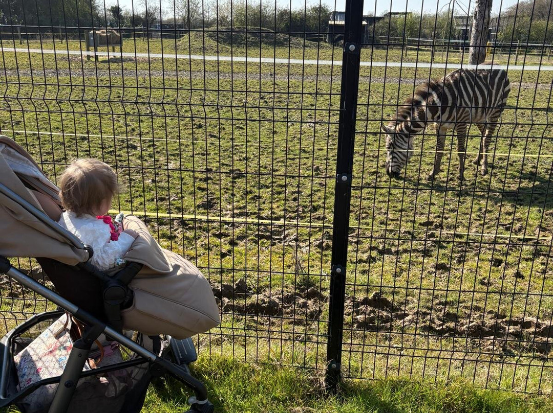 Ashlyns Wildlife Park-North Weald必去景点