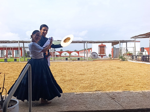 Caballos Peruanos De Paso-特鲁希略必去景点