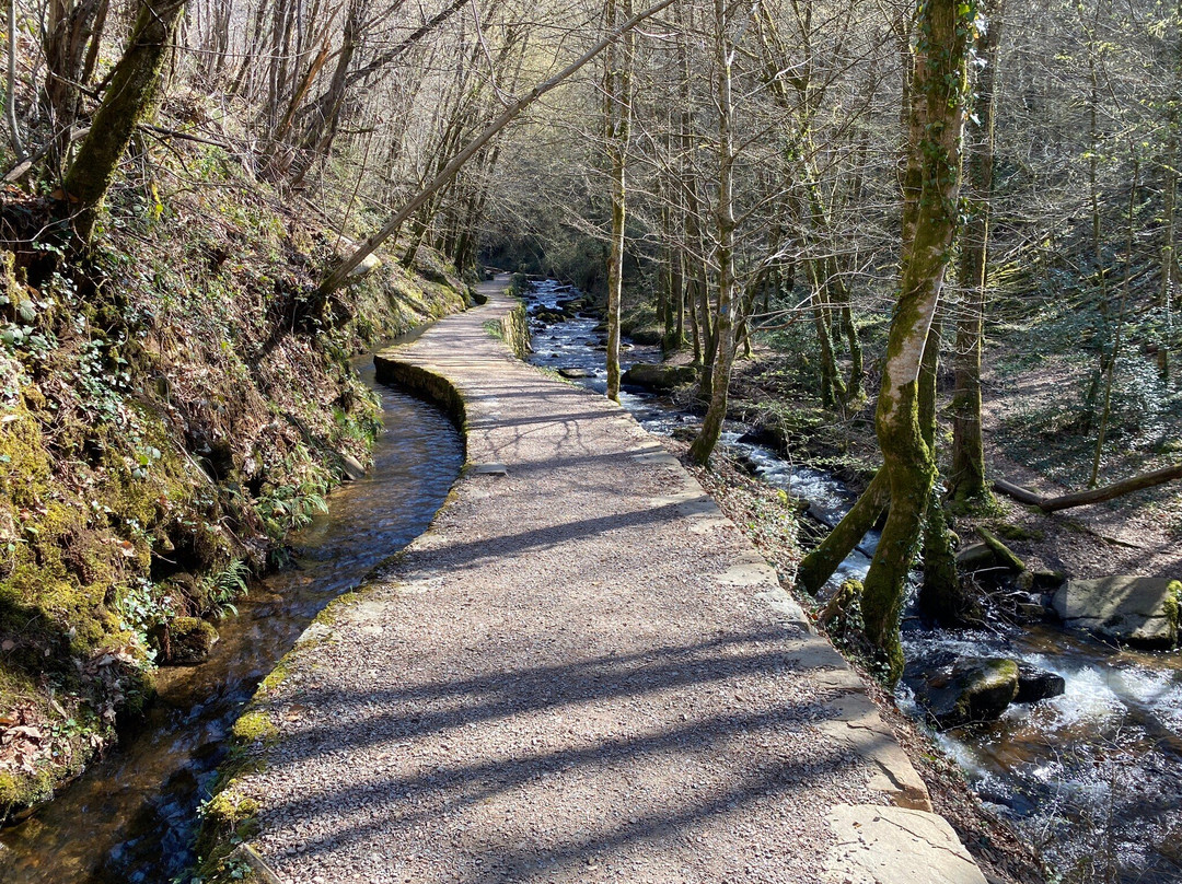 乐索​​特德拉白吉尔住宿加早餐旅馆主图