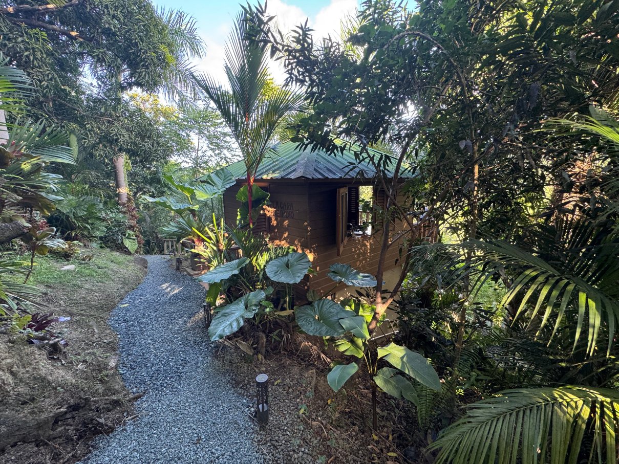 Yuquiyu Treehouses-度假村/酒店