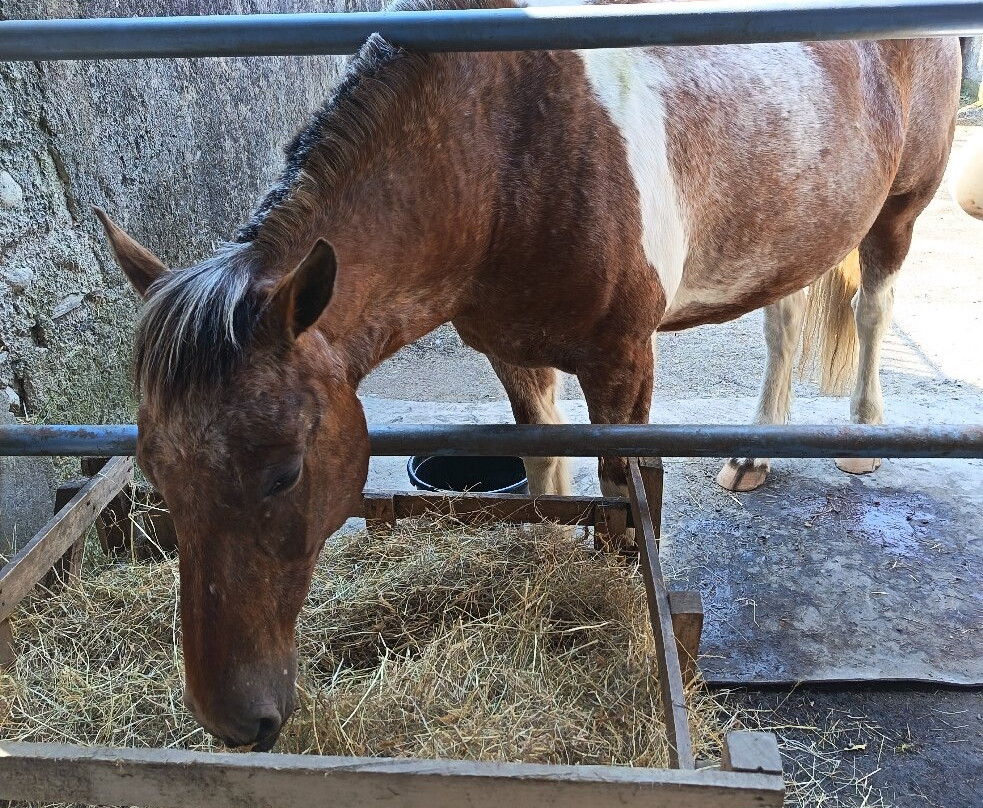 LE HARAS DE TARBES-塔布必去景点