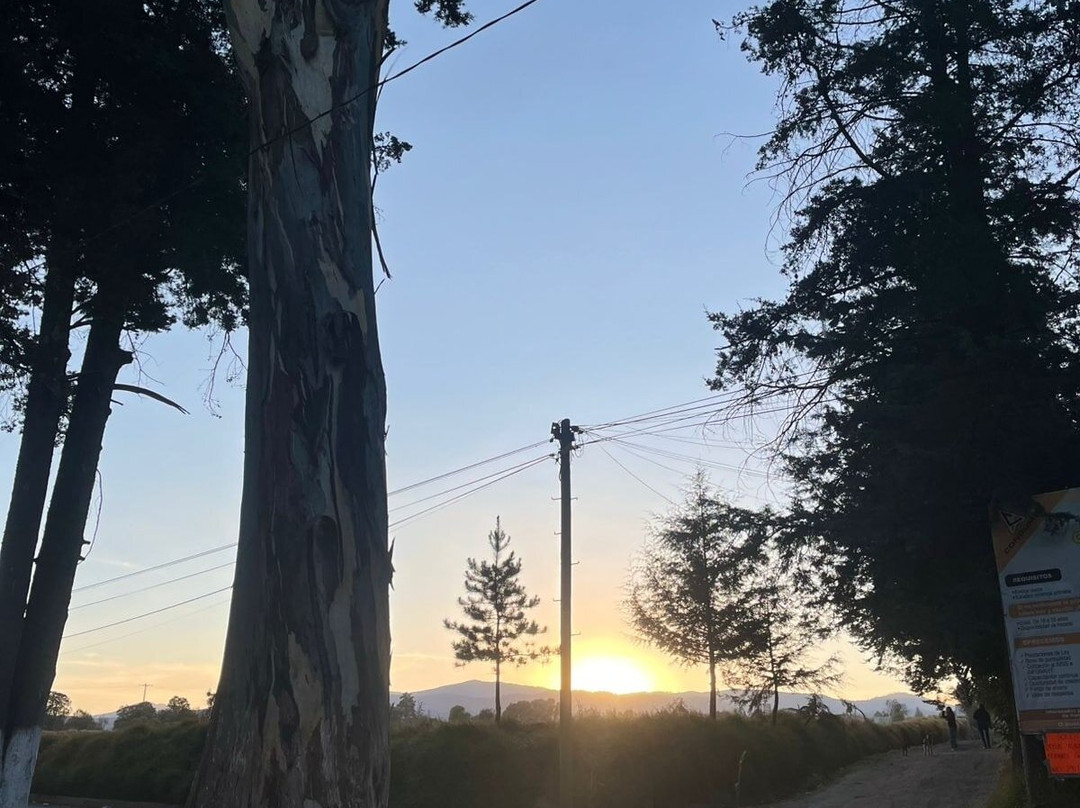 Santuario de las Luciérnagas - Bosque Mágico-Tlaxcala必去景点