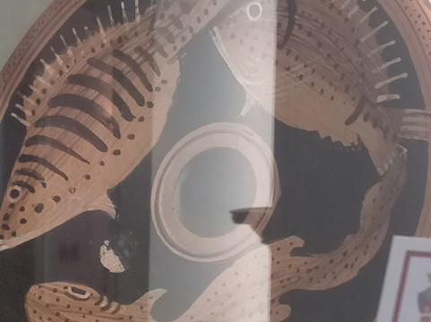 Museo Civico Archeologico-安济奥必去景点