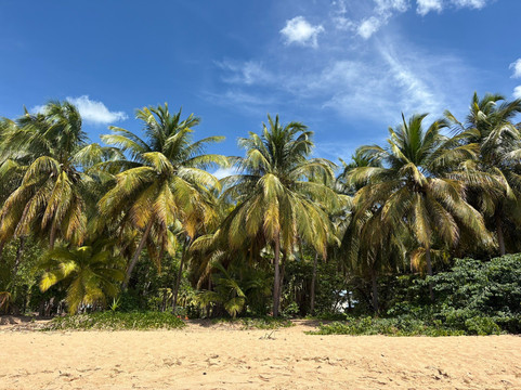 Plage de Grande Anse-Deshaies必去景点