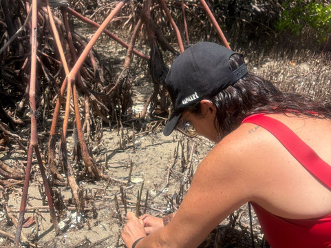 Brasil Tour - Passeios Náuticos-Marcacao必去景点