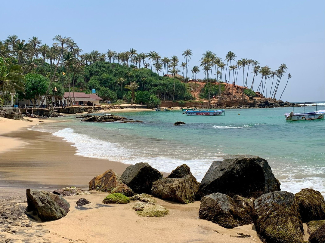 Coconut Tree Hill-美蕊沙必去景点