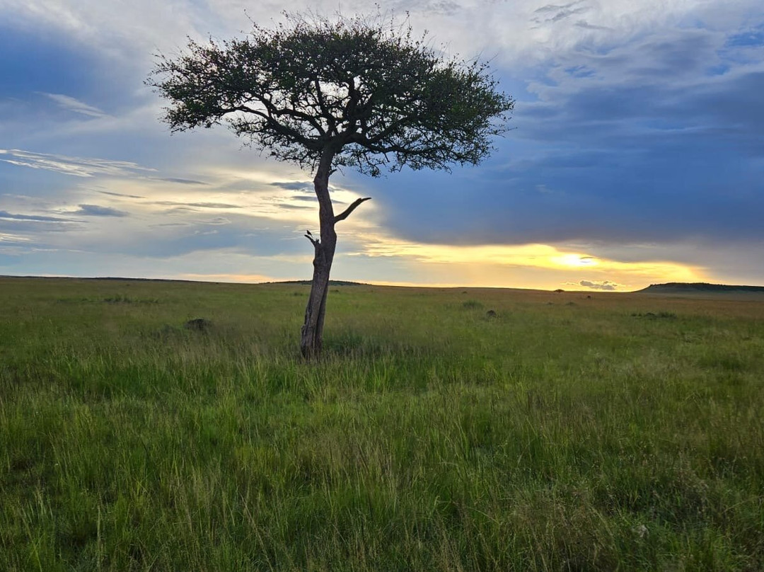 Meander Africa Safaris-内罗毕必去景点