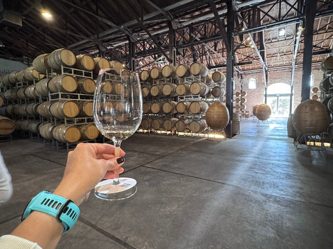 Bodega Los Toneles-门多萨必去景点