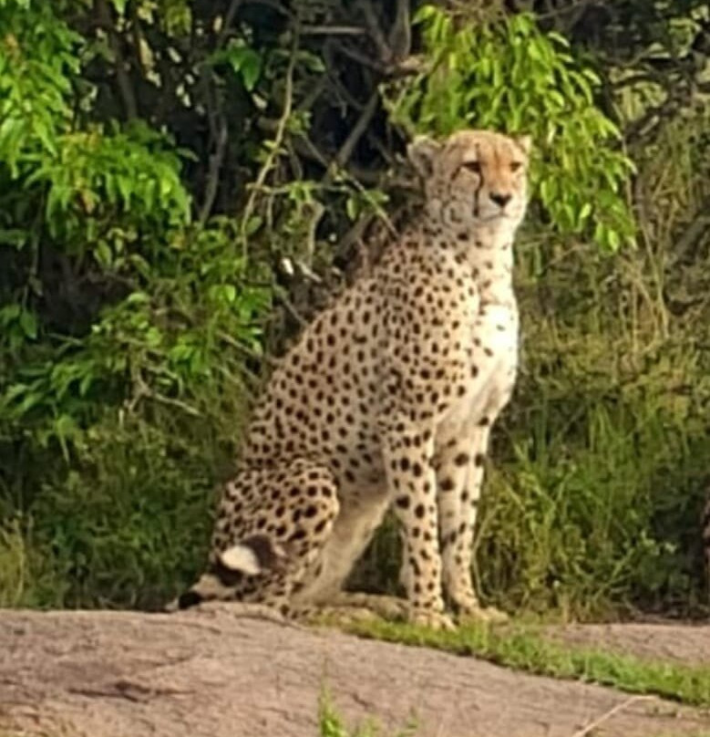 Natural World Kenya Safaris-Masai Mara-Mara North Conservancy必去景点